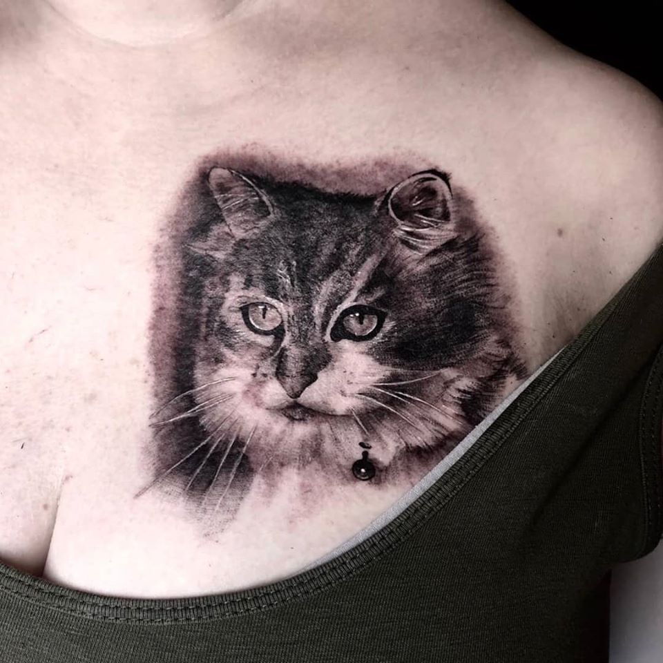 cat-tattoo