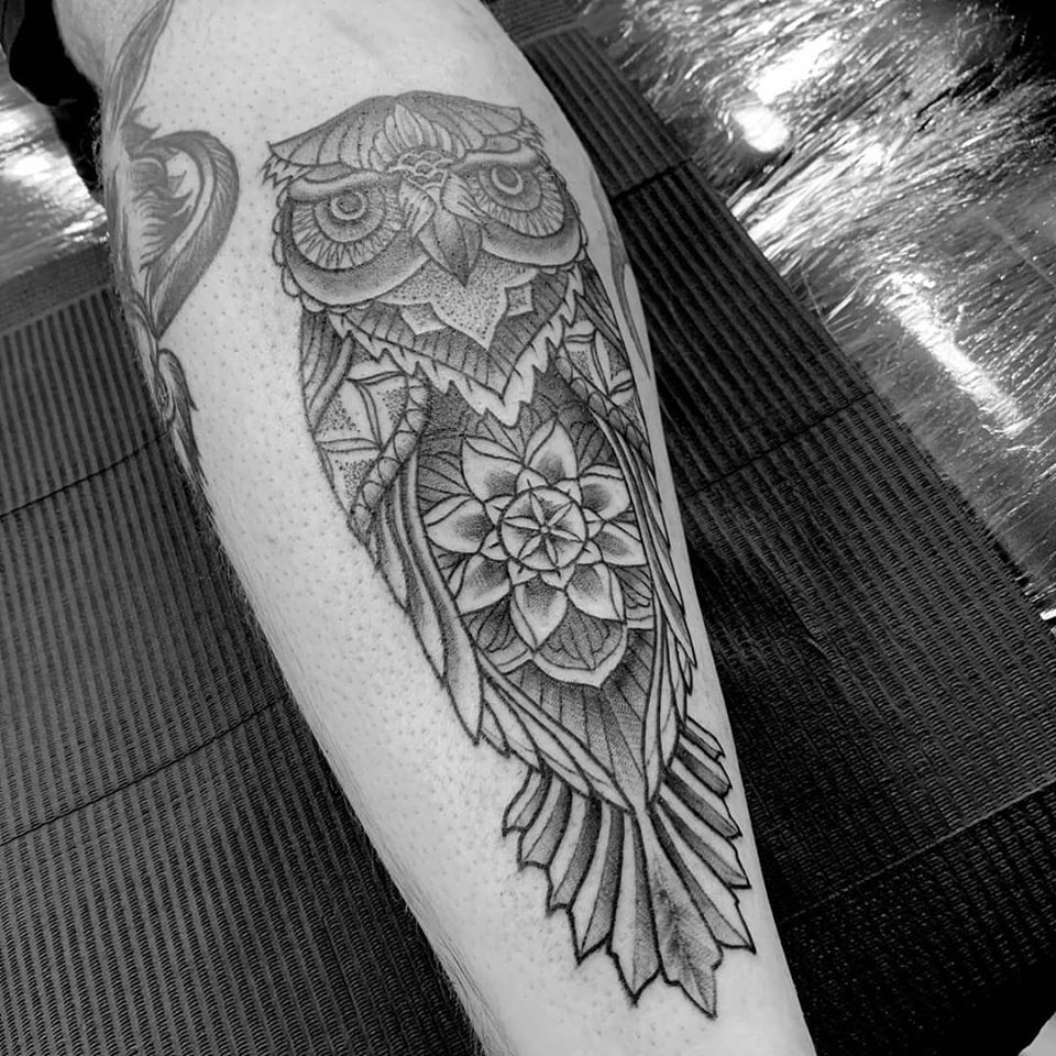 Owl and skull, dotwork, drawing, tattoo design | Tattoo designs, Tattoo  design drawings, Tattoo illustration